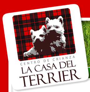 La casa del Terrier